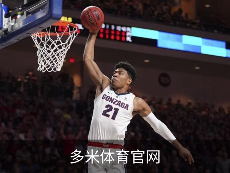 关于多米体育官网